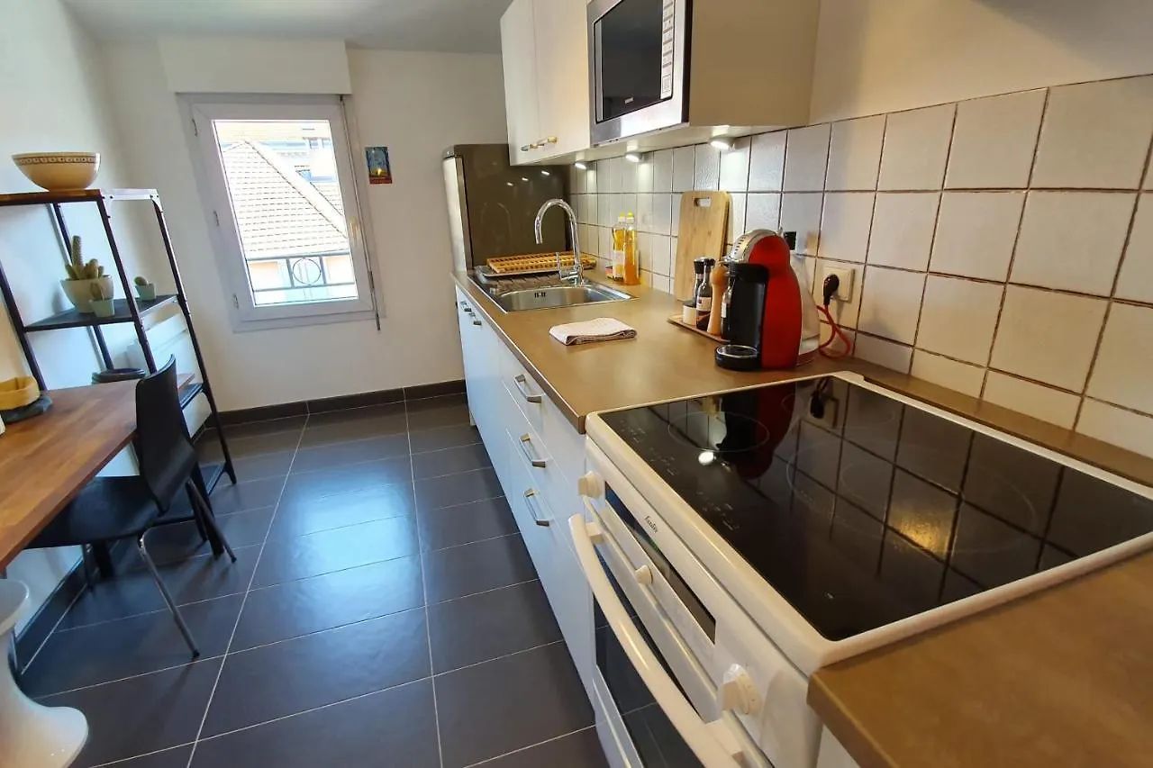 #J1 Escale Grenobloise Splendid Building Pedestrian Center Apartment Grenoble